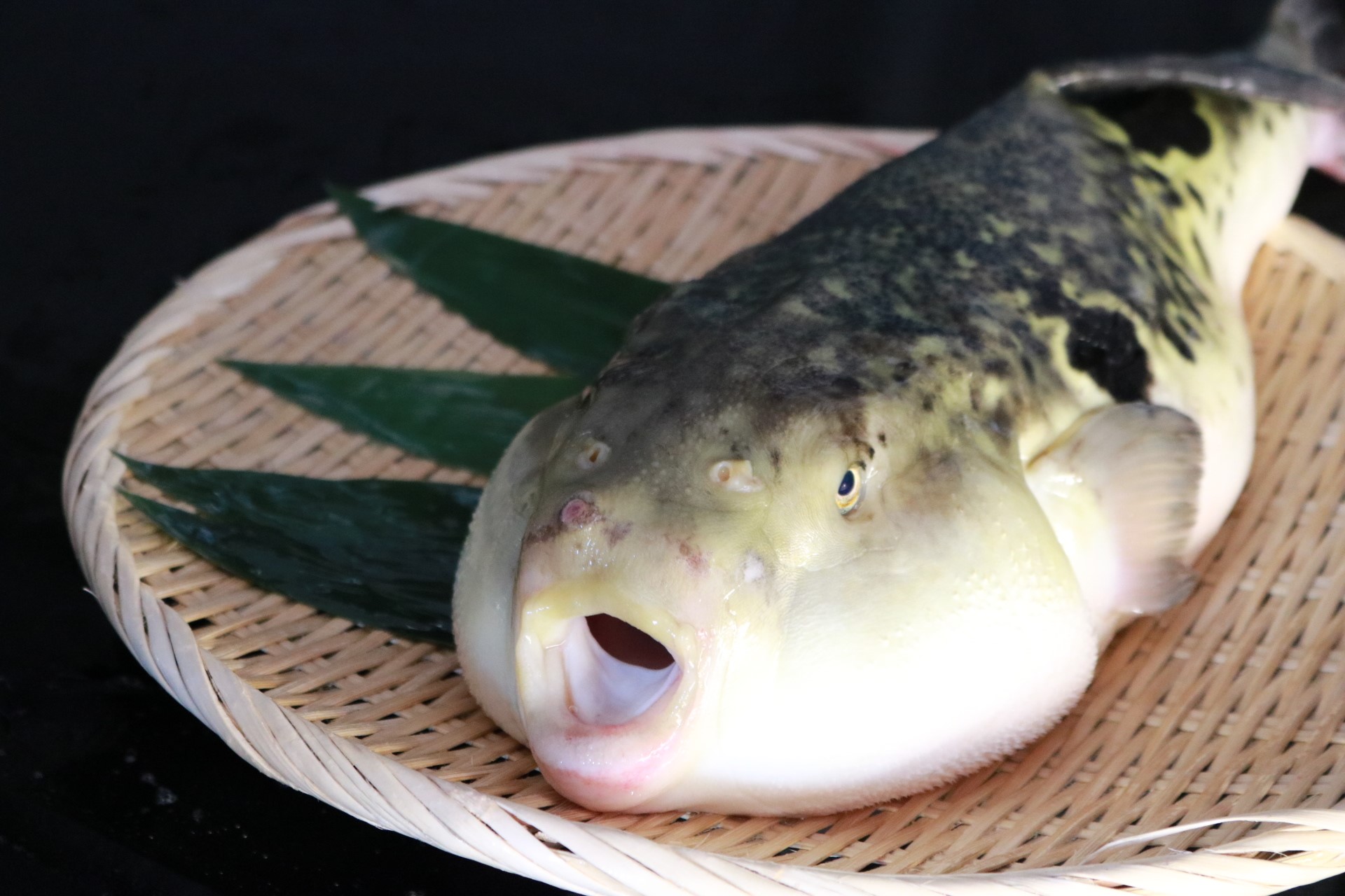 ふぐ政 泉佐野店