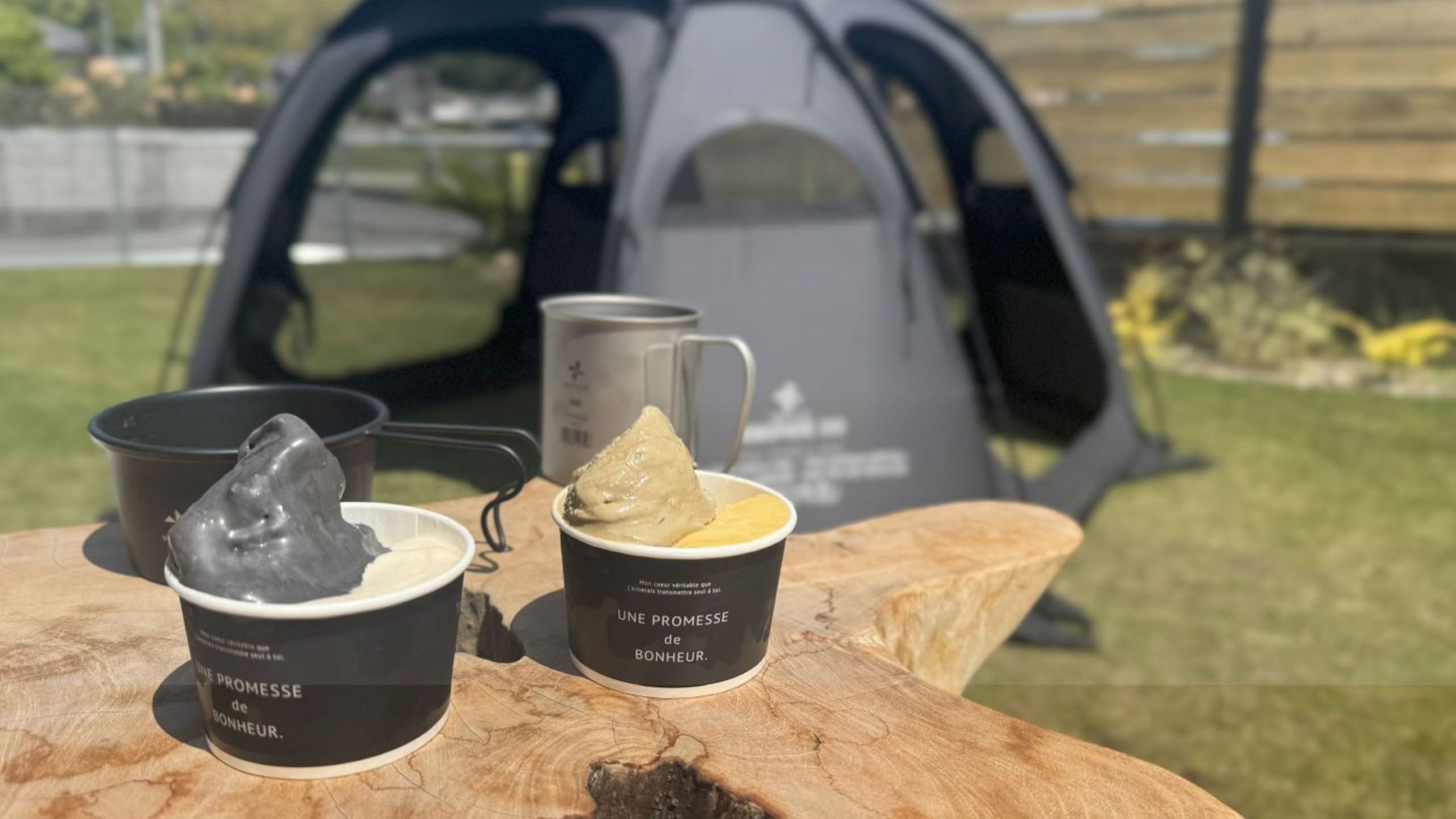 VENTLAX　GELATO